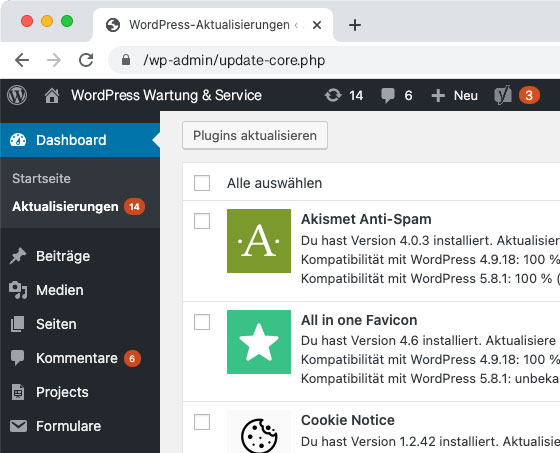 WordPress Update Service – WordPress Aktualisierungen ✓schnell ✓unkompliziert ✓ zuverlässig ✓ sicher ✓ ohne vertragliche Bindung