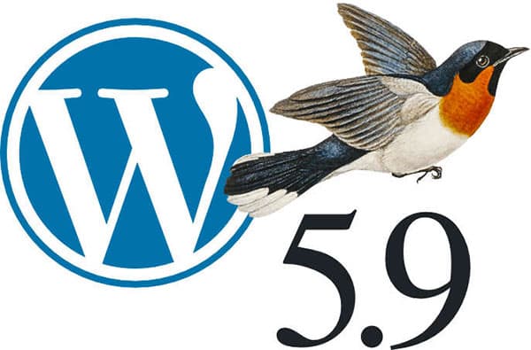 WordPress 5.9 Update
