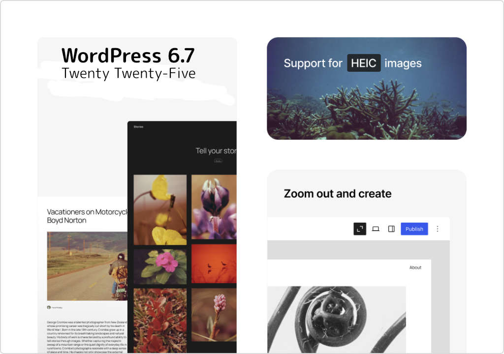 WordPress 6.7 Update + Twenty Twenty-Five